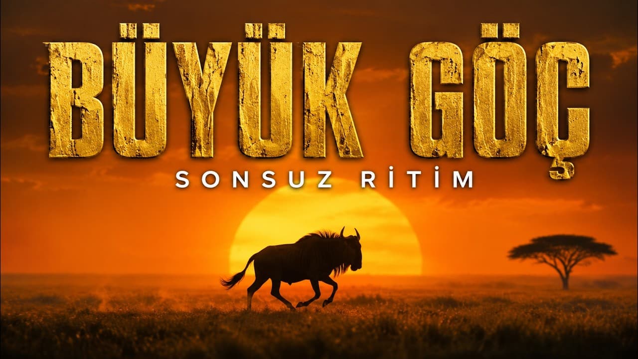 BÜYÜK GÖÇ: Serengeti'den Mara'ya Bir Yıl | Türkçe Doğa Belgeseli