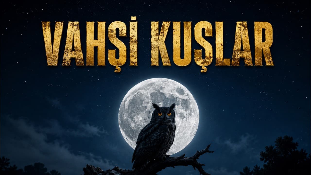 VAHŞİ KUŞLAR: Gökyüzünün Sessiz Sakinleri | Türkçe Doğa Belgeseli