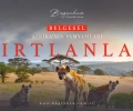 Afrika'nın Yamyamları: Sırtlanlar