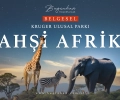 Vahşi Afrika: Kruger 