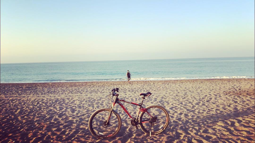 Kodların Arasında Yeşeren Bir Tutku: Neden Buradayım?